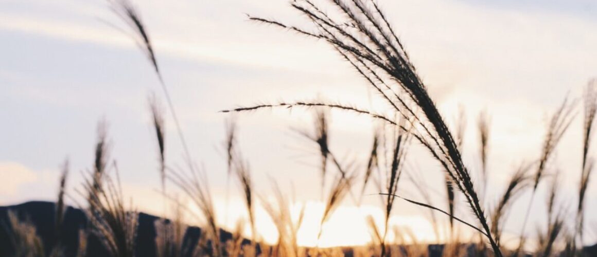 Processed with VSCO with f1 preset